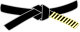 Master belt package icon